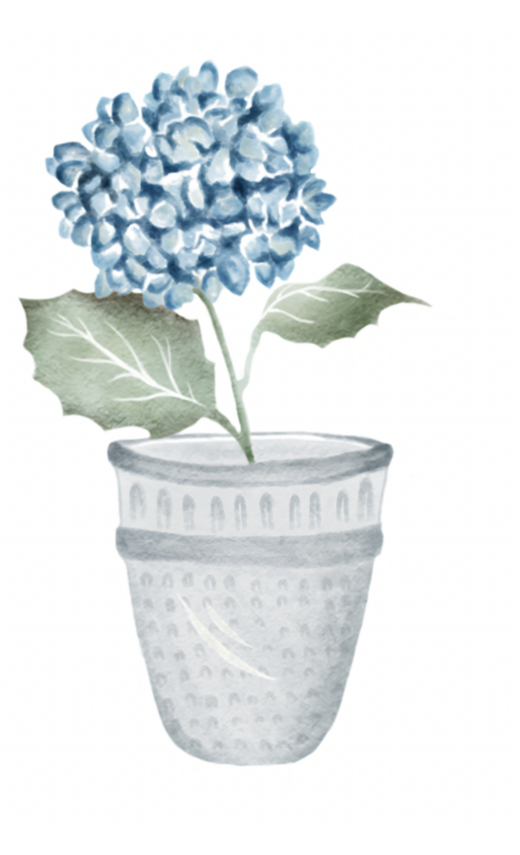 The complete blue hydrangea watercolor in its pale gray pot